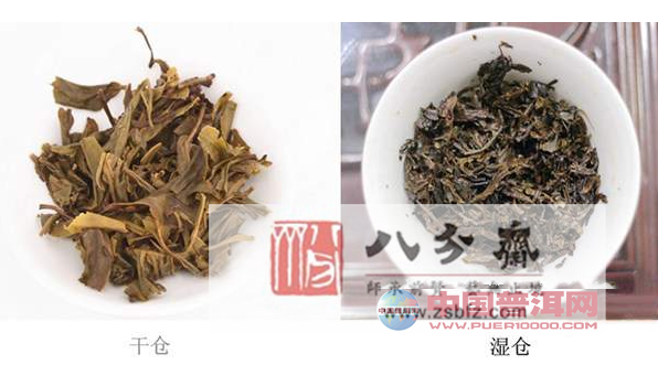 普洱茶