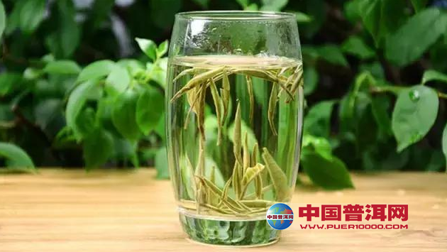 普洱茶