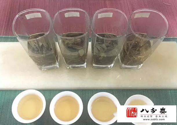 普洱茶