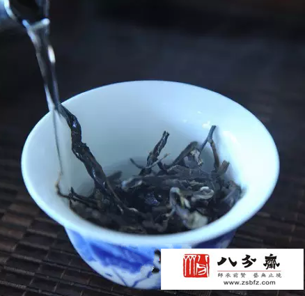 普洱茶