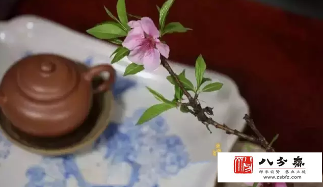 普洱茶