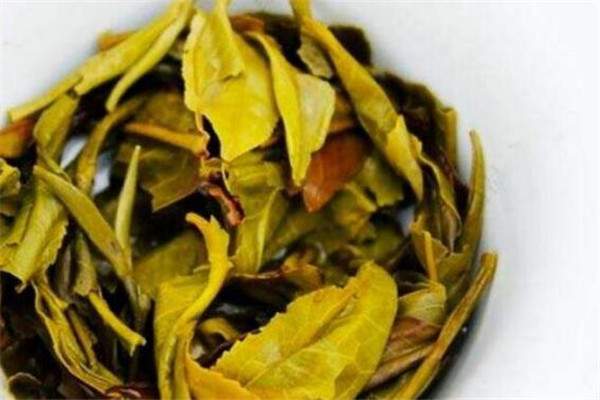 关于普洱茶老黄片的形成及功效的介绍