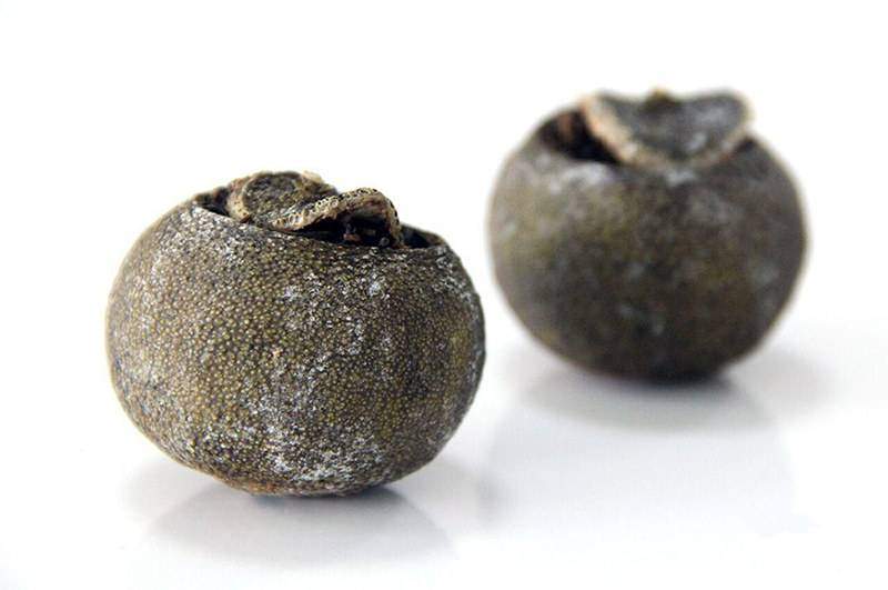 如何区分柑普茶表皮上的是“白霜”还是发霉？