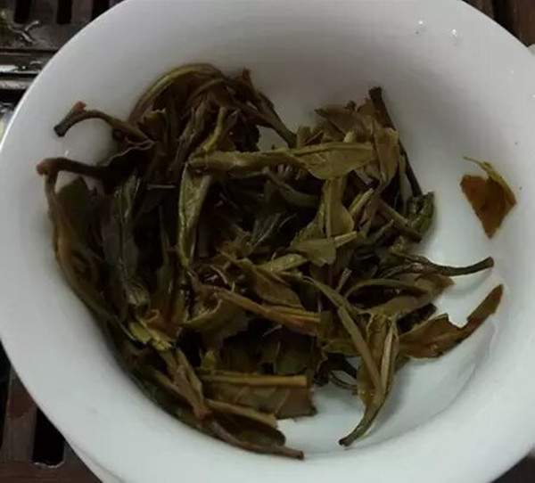 案例分析：凭什么说这款普洱茶树龄不大？