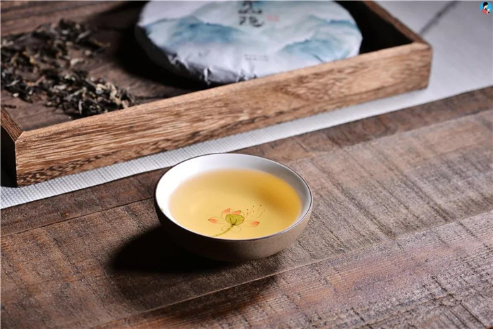 普洱茶行业为什么说“茶山无老茶，茶农不存茶”？