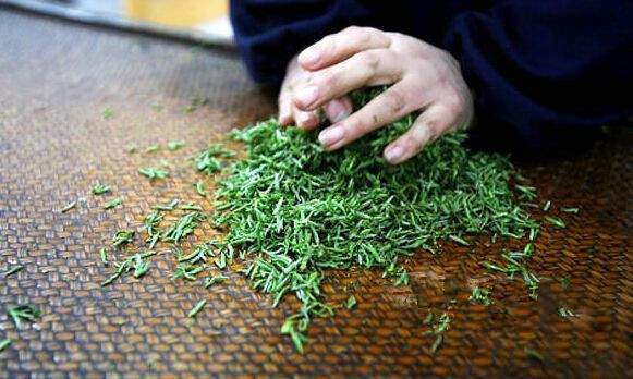 一篇文章读懂普洱茶原料的制作工艺