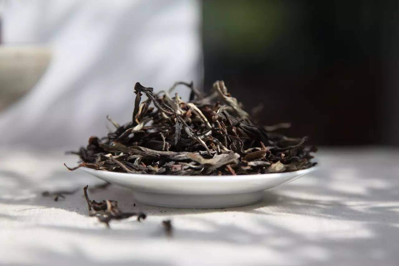 普洱生茶中的茶多酚对其品质有何影响？